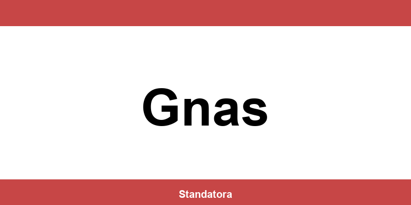Öffnungszeiten und Termine beim Standesamt in Gnas